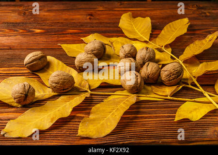 Walnuts with autumn yellow walnut leaves against the background an old wooden table. Stock Photo
