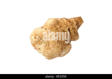 Jerusalem artichoke isolated Stock Photo