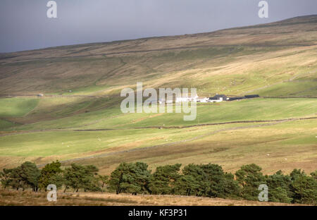 Remote farming communities in Upper Teesdale, County Durham, England, UK Stock Photo