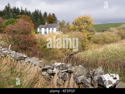 Autumn at Langdon Beck Hotel, Forest in Teesdale, Upper Teesdale, County Durham, England, UK Stock Photo