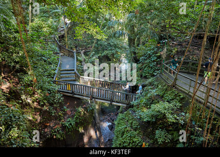 Wooden bridge in the Sacred Monkey Forest Sanctuary. Ubud, Bali, Indonesia. Stock Photo