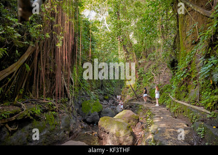 Tourists walk on a trail in Sacred Monkey Forest Sanctuary. Ubud, Bali, Indonesia. Stock Photo