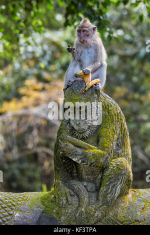 Long-tailed macaque (Macaca fascicularis) sitting on a monkey statue. Sacred Monkey Forest Sanctuary, Ubud, Bali, Indonesia. Stock Photo