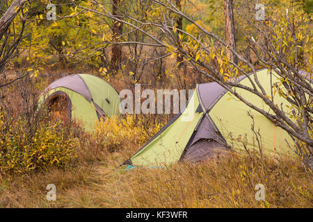 Campsite with green tents in an autumn forest. Khuvsgol, Mongolia. Stock Photo