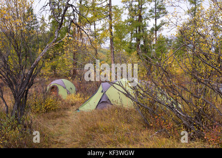 Campsite with green tents in an autumn forest. Khuvsgol, Mongolia. Stock Photo