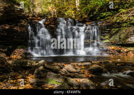 Waterfalls are surrounded by colorful fall foliage at Ricketts Glen State Park in Benton, PA Stock Photo