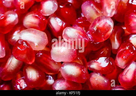 pomegranate seeds Stock Photo