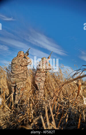 Rear view of two hunters wearing camouflage shooting ducks on sunny day Stock Photo