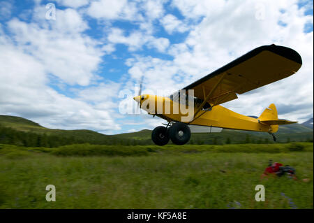 Yellow Super Cub bush plane taking off from a lush green Alaskan field with camping gear and mountain background pictured midair close up Stock Photo