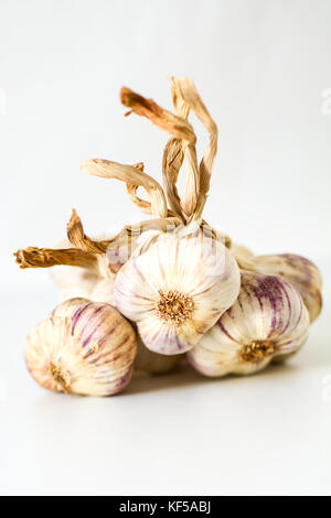 Closeup of a bunch of garlic bulbs on a white background Stock Photo