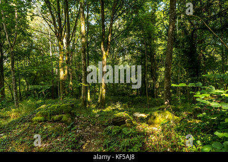 Battlefield ruins now reclaimed by nature. The Douaumont ossuary, national cemetery and memorial site, France. Stock Photo