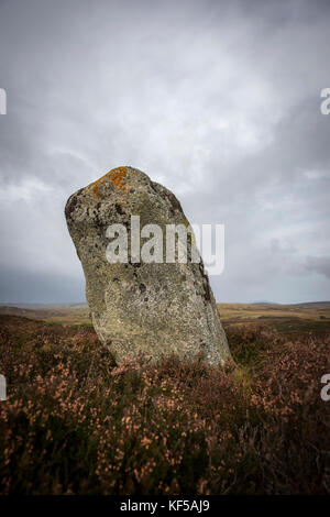 Achnagarron Standing Stones near Rogart, Sutherland, Scottish Highlands, UK Stock Photo