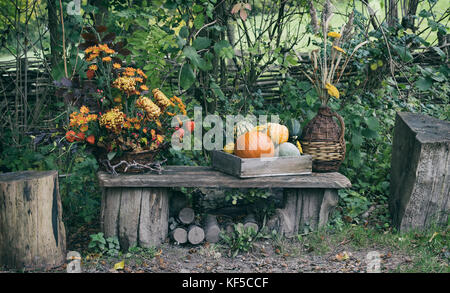 Pumpkins and gourds in a wooden box on display at Weald and Downland open air museum, autumn countryside show, Singleton, Sussex, England Stock Photo