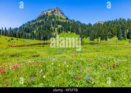 Tipsoo Lake on the Mather Memorial Parkway in Mount Rainier National Park Washington in the Umited States Stock Photo