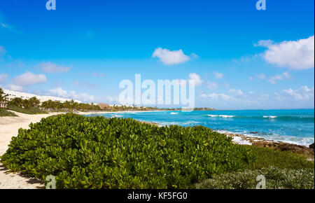 Akumal bay Caribbean beach in Riviera Maya of Mayan Mexico Stock Photo ...