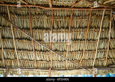dried palm tree leaves palapa roof and beams view from under Stock ...