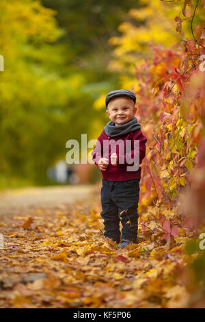 Little happy child boy wearing hat, scarf and sweater goes in park on background of colorful autumn leaves. Stock Photo