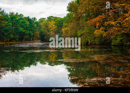Brightly colored trees are reflected in a lake on an Autumn morning. Stock Photo