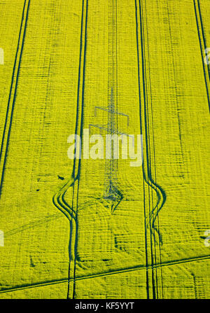 yellow flowering rapeseed field with tractor tracks and Pylon, electric transmission line, Werne, Ruhr, Nordrhein-Westfalen, Germany, Europe, Aerial V Stock Photo