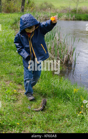 5-6 year old boy fishing by a pond in summer. Stock Photo