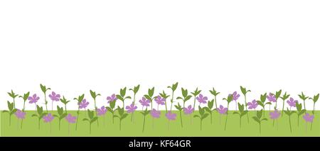 Vector illustration of a meadow with flowers and plants and grass isolated on a white background Stock Vector