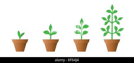 Vector illustration of a set of green icons - plant growth phase in a pot isolated on white background Stock Vector