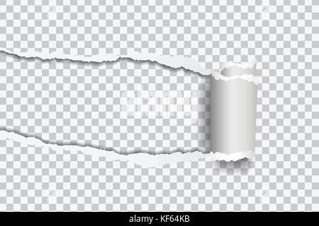 Vector realistic illustration of torn paper with rolled edge on transparent background with frame for text Stock Vector