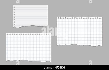 Set of realistic vector illustrations of torn sheets of lined and square paper isolated on a white background Stock Vector
