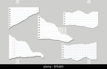 Set of Vector Illustrations of torn pages of notebook paper lined and squared with shadows Stock Vector