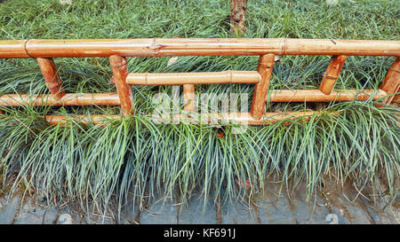 Bamboo fence in a park, selective focus. Stock Photo