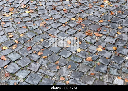 Yellow autumn leaves on the surface old paving roadway. Stock Photo