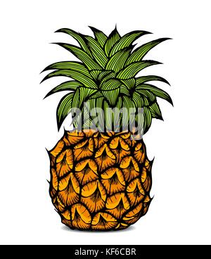 Pineapple fruit in color. Vector illustration. Isolated on white Stock Vector