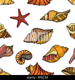 Hand drawn vector illustrations - seamless pattern of seashells. Marine background. Perfect for invitations, greeting cards, posters, prints, banners, Stock Vector