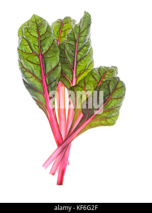 Swiss aka Ruby chard leaves isolated on white. Stock Photo