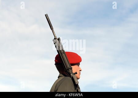 Vienna, Austria. 26th Oct, 2017. Austrian National Day 2017 in the presence of the Federal President and the Austrian Federal Government at Heldenplatz in Vienna. Over 1000 recruits were engaged in the service in the army. Guard of the Austrian Armed Forces. Credit: Franz Perc/Alamy Live News Stock Photo