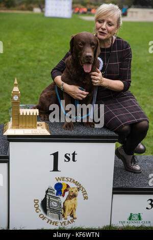 London, UK. 26th October, 2017. Tracy Brabin, Labour MP for Batley and Spen, sits with her 7-year-old labrador Rocky in Victoria Tower Gardens after winning 1st prize in the Westminster Dog of the Year organised by The Kennel Club and Dogs Trust. Credit: Mark Kerrison/Alamy Live News Stock Photo