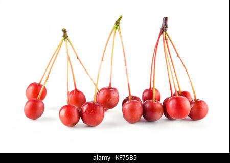 Small sour wild red crab apples (rennet) isolated on white background. Top view. Stock Photo