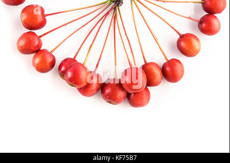 Small sour wild red crab apples (rennet) isolated on white background. Top view. Stock Photo