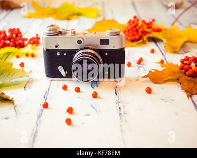 Autumn concept. Autumn yellow, green and brown leaves, red ashberries and a retro camera on a wooden background. Stock Photo
