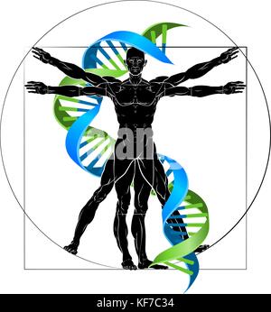 DNA Vitruvian Man Stock Vector