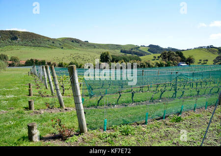 Stonyridge vineyard hotsell