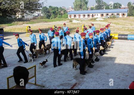 Noemie Repetto / Le Pictorium -  Tihar Festival in Nepal, Kathmandu. Worshipping of the dogs at the training police dogs school. -  19/10/2017  -  Nepal / Kathmandu  -  Tihar Festival in Nepal, Kathmandu. Worshipping of the dogs at the training police dogs school.   Best police dog award ceremony for the Nepalese police, as well as retirement ceremony. Since the festival of lights also took place, the police and citizens participated in the dog worshipping as tradition dictates. Stock Photo