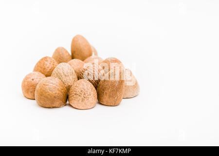 Areca nuts on a white background (Areca catechu) Stock Photo