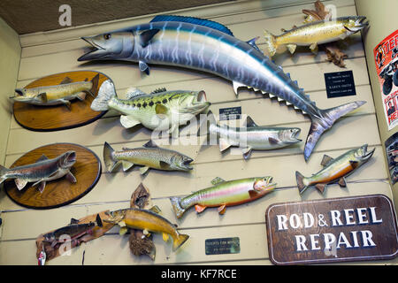 USA, California, Mammoth, inside Culver's Sporting Goods in Bishop, California Stock Photo