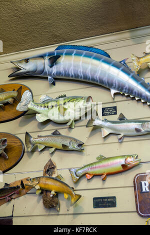 USA, California, Mammoth, inside Culver's Sporting Goods in Bishop, California Stock Photo