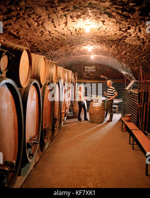 FRANCE, Montigny-les-Arsures, Arbois, guests sip Vin Jaune in the tasting room, Jacques Puffeney Winery, Jura Wine Region Stock Photo