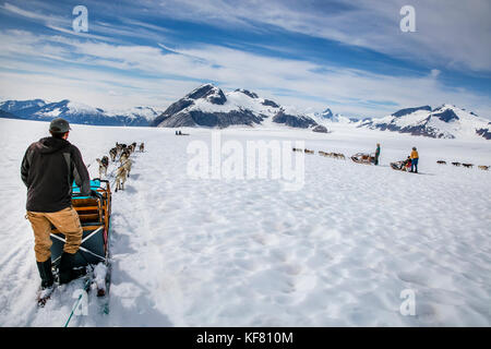 USA, Alaska, Juneau, dogs pull sleds and participants across the Juneau Ice Field, Helicopter Dogsled Tour flies you over the Taku Glacier to the Heli Stock Photo
