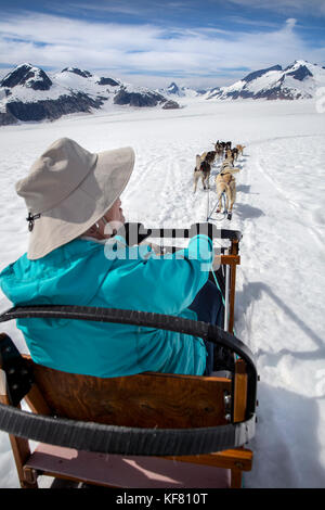USA, Alaska, Juneau, dogs pull sleds and participants across the Juneau Ice Field, Helicopter Dogsled Tour flies you over the Taku Glacier to the Heli Stock Photo