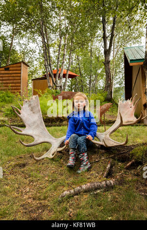 USA, Alaska, Redoubt Bay, Big River Lake, hanging out on the grounds at Redoubt Bay Lodge, Moose Rack Stock Photo