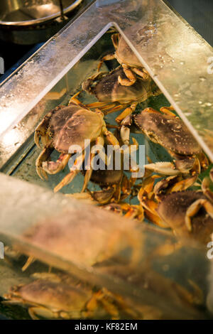 CANADA, Vancouver, British Columbia, Rodney's Oyster House in Yaletown Stock Photo